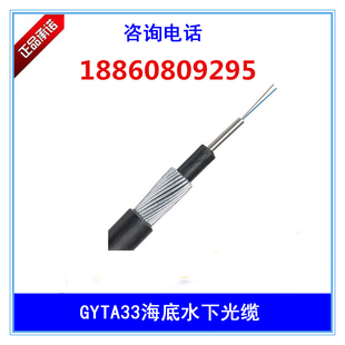 GYTA33-12b1室外防鼠光纤4/8/24/48/96芯钢丝重铠装水下直埋光缆