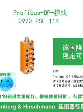 lumberg德国隆堡 0970 PSL 114 Profibus-DP 8点输入数字量模块