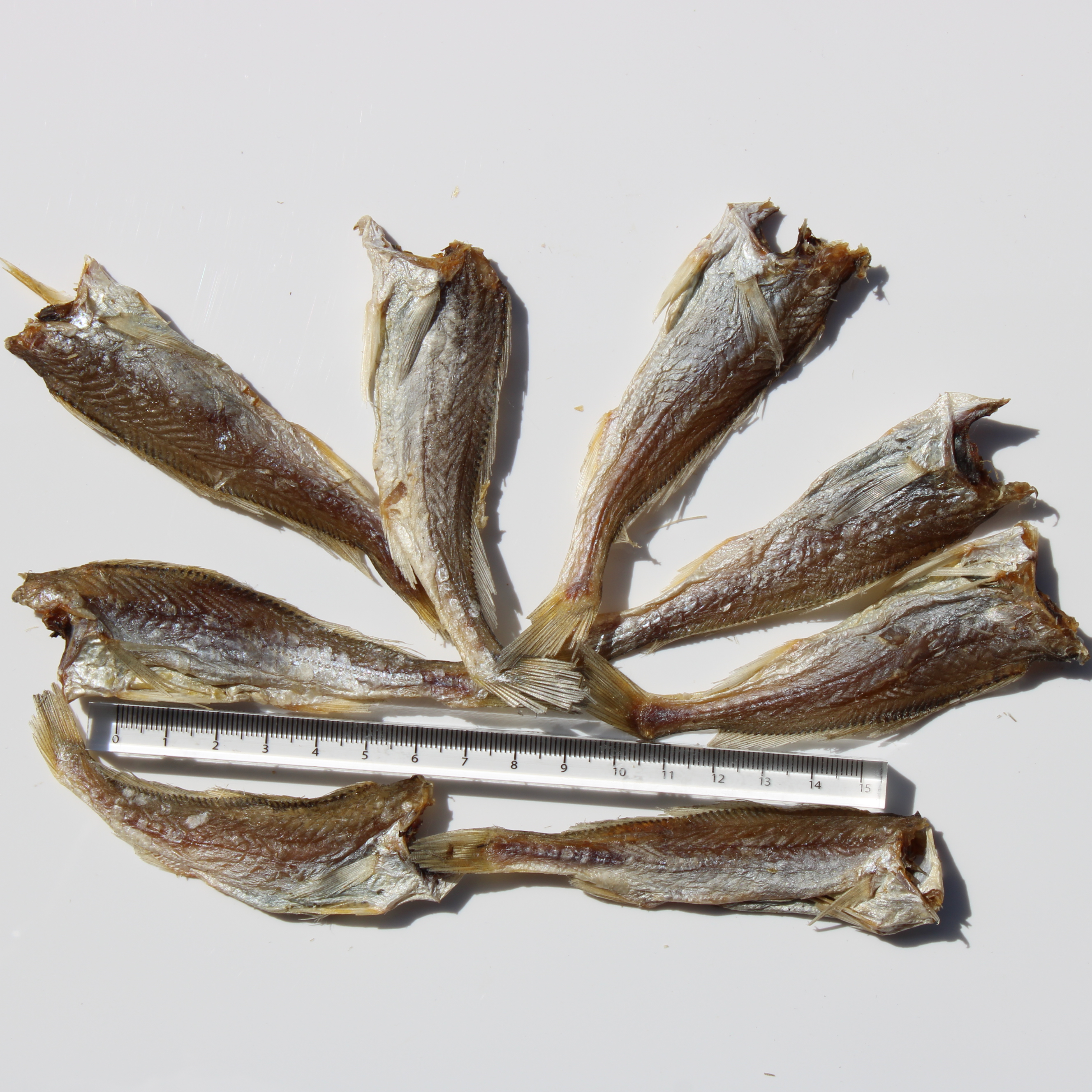 去头去内脏小黄鱼干咸鱼干可煎炸小黄花鱼下饭菜当季新货新鲜半干