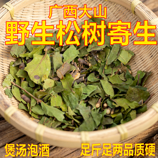 正宗松树寄生松木寄生干货切段特级野生寄生茶老树现采新鲜晒干