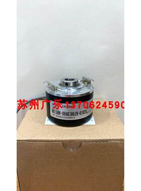 H58-12G10-30F500BM RHI58N-OBAK1R61N-01024 DFS60B-TEAK04096