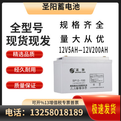 SP-12V38AH65A100A120AH200AH阀控式铅酸免维护UPS EPS