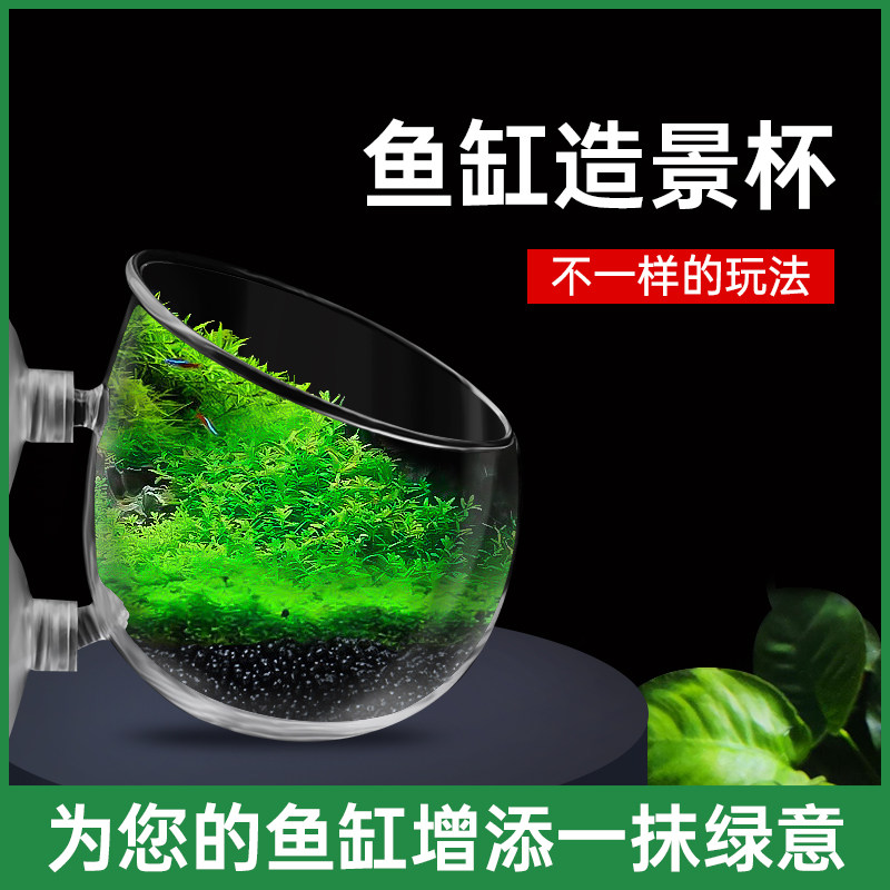 宠声水晶玻璃微景观生态杯高透