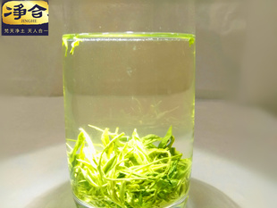 贵州绿茶 浓香型茶叶 一芽一叶手工梵净山毛峰绿茶