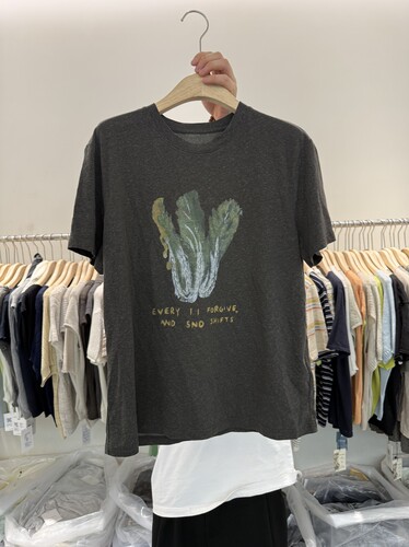 欧货2026新款蔬菜印花字母刺绣宽松百搭减龄气质显瘦短袖T恤上衣