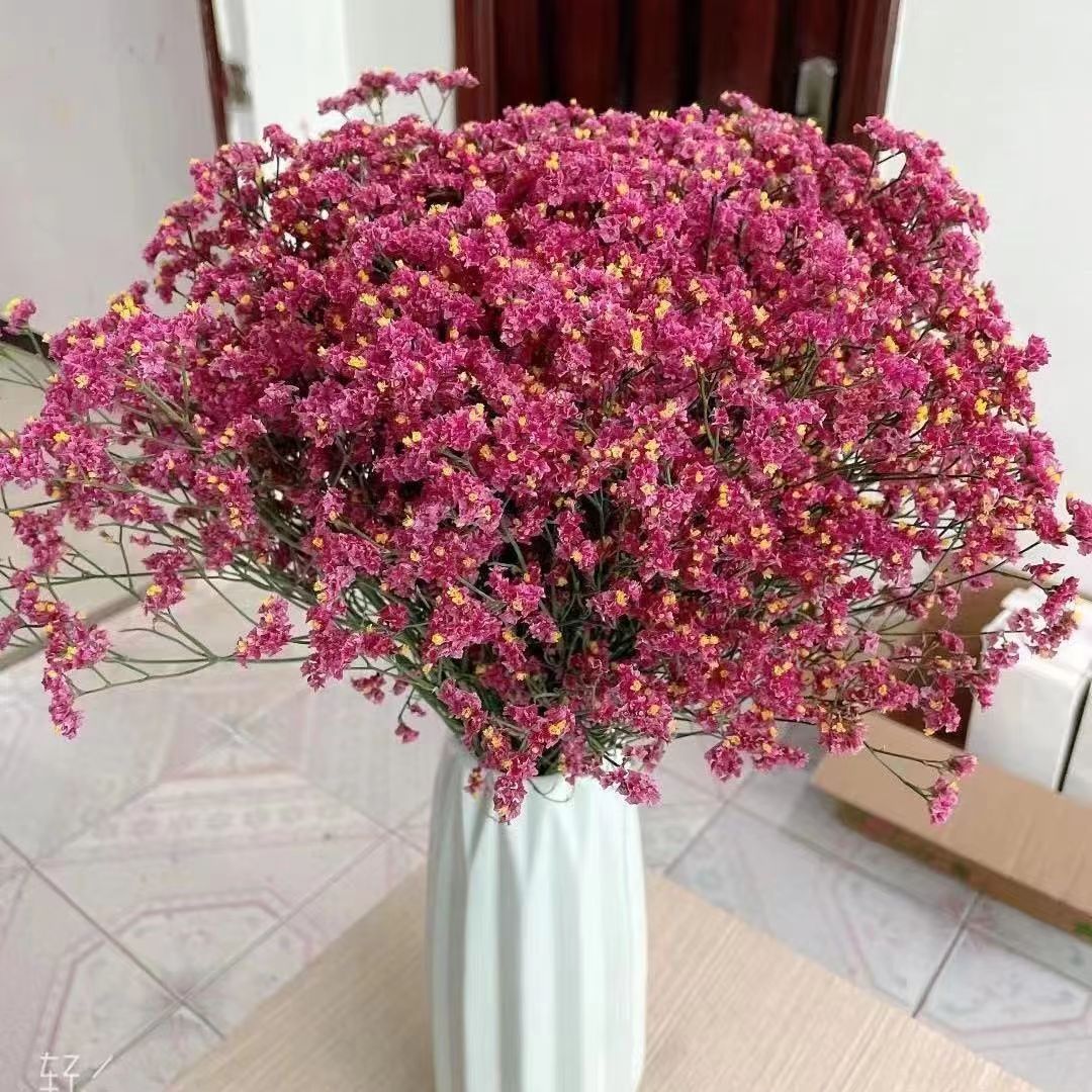 红水晶 情人草 鲜花干花 家居干花