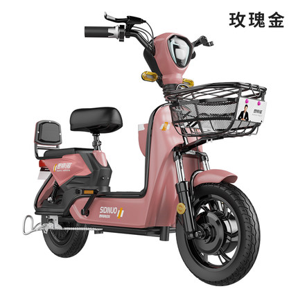 炎阳电动自行车新国标铅酸代步
