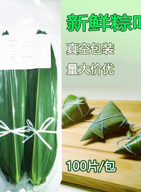 新鲜竹叶粽叶真空包装100片