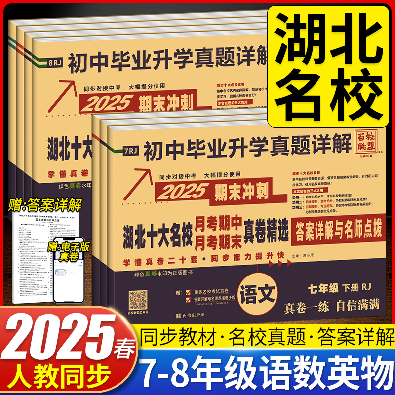 2025湖北十大名校期末冲刺真卷