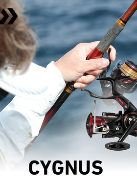 DAIWA达亿瓦 23新款 CYGNUS 入门手刹轮矶钓纺车轮海钓渔轮黑毛