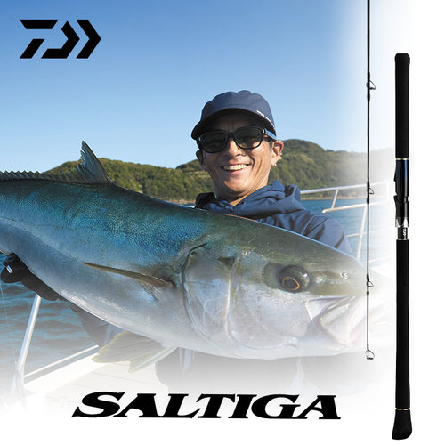 达亿瓦SAITGABT波爬竿