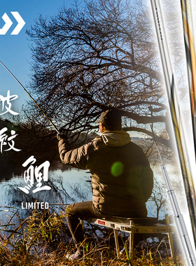 DAIWA达亿瓦 22款波纹鲤LIMITED 台钓竿综合休闲竿鲤杆手竿日本金