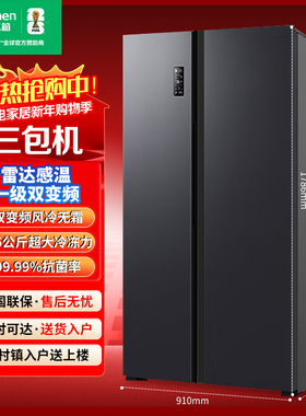 Ronshen/容声BCD-609WD11HP对开净味风冷无霜一级双变频三包机