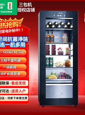 容声JC-165WCAL/HC客厅冰吧