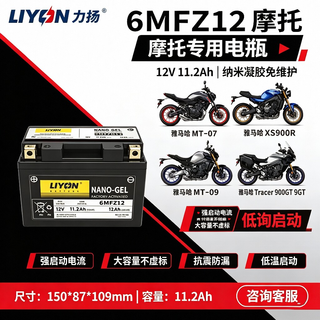 力扬摩托车电瓶适配雅马哈巧格i/Nmax150/福喜/赛鹰/旭鹰/福颖