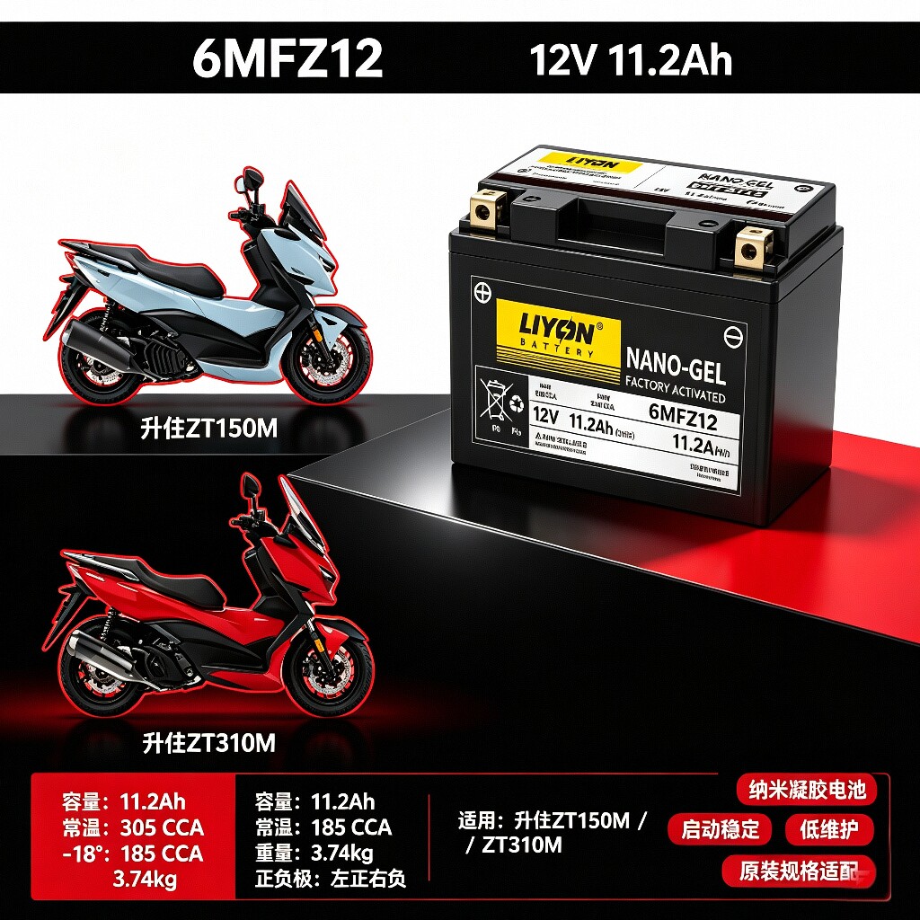 大容量ZONTES升仕ZX150X ZX150M ZT310M ZT250S ZT250R摩托车电瓶