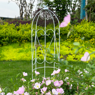 铁线莲庭院花园户外插土支架 藤架铁艺花架月季