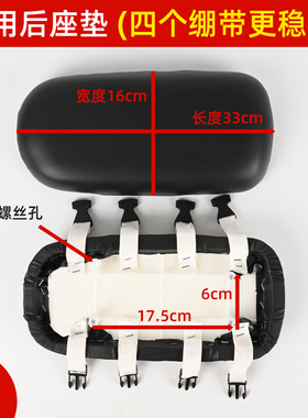 通用电动车坐板万能加厚座垫简易款电瓶车后坐垫雅迪爱玛台铃包邮