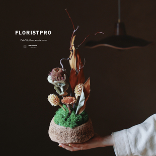 南非班克木佛塔帝王进口干花大碗果壳插花侘寂新中式花艺花盒花束