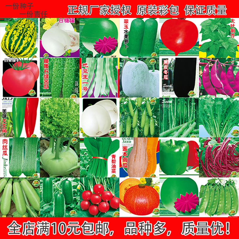 蔬菜种子瓜果四季阳台家庭