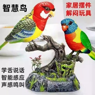 修泽会说话的鹦鹉玩具儿童益智电子仿真鸟学舌录音装电动饰摆摆件