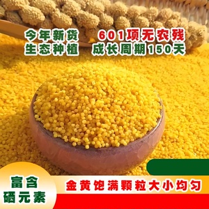 正宗山西黄小米特级新米熬粥暖胃