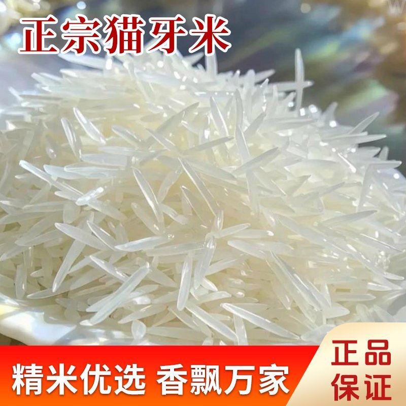 雪溪贵州梯田长粒香米正宗猫牙米