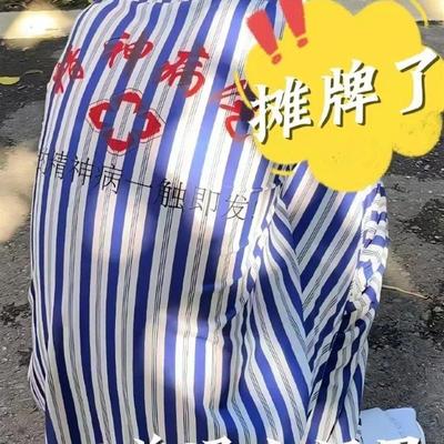 精神院病服装衣服出院僵尸病号服恶搞网红搞怪礼物沙雕搞笑万圣节