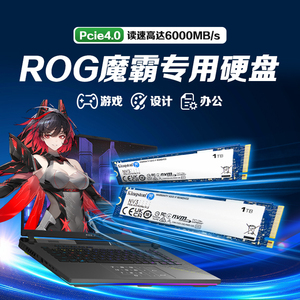 ROG魔霸专用笔记本m2固态硬盘512g/1t/2t/4t ssd金士顿固态硬盘