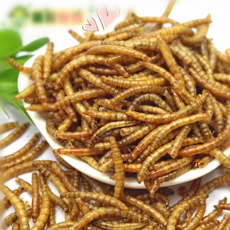 面包虫干黄粉虫干仓鼠粮 仓鼠用品仓鼠零食鱼食鱼饲料龟粮鸟食50g在类目 宠物/宠物食品及用品, 鸟类及用品, 鸟食中 - 来自Buy2taobao.com提供专业的淘宝代购服务
