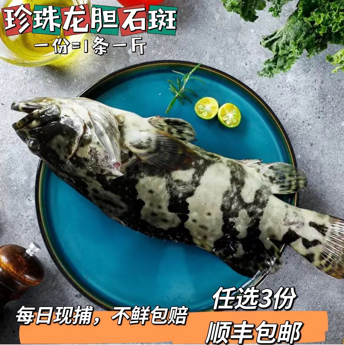 新鲜深海鱼活冻龙胆石斑鱼珍珠龙胆珍珠斑