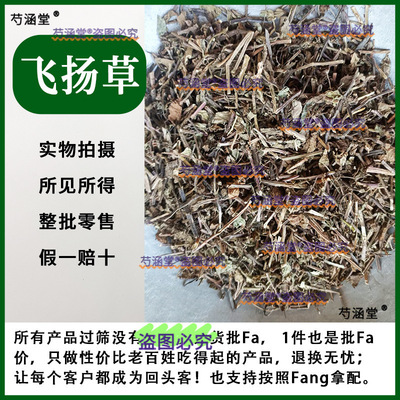 药材材大飞扬草野生乳汁草奶子草