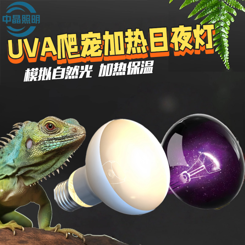 中晶爬宠日夜加热保温灯