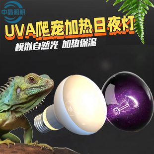 陆龟箱加温灯泡日灯夜灯龟灯uva加热灯uva灯恒温饲养箱守宫加热灯
