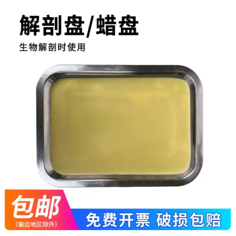 解剖盘19*26cm蜡盘 初中高中生物实验器材学生用生物教学教具仪器