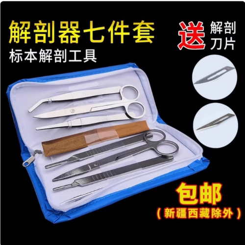 生物解剖器七件套四件套包邮不锈钢解剖剪解剖针工具套装标本制作