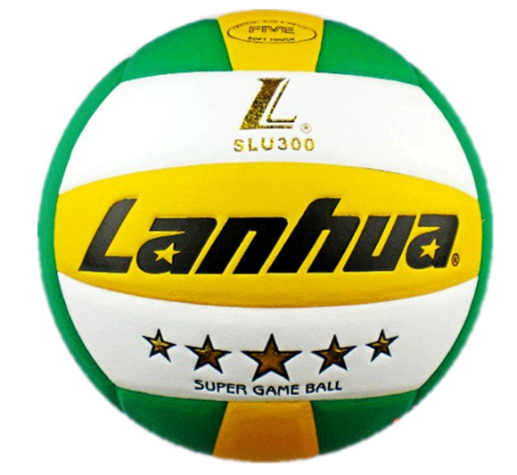 Ballon de volley - Ref 2010119 Image 1