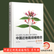 忍冬科 李晓东中国林业出版 0925 黄宏文 社 林秦文 中国迁地栽培植物志
