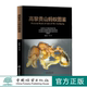 徐正会 蚂蚁书籍 姜明 高黎贡山蚂蚁图鉴 杨桂良 1951 中国林业出版 社