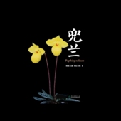 兜兰 律江 邓克云 郑宝强 王雁