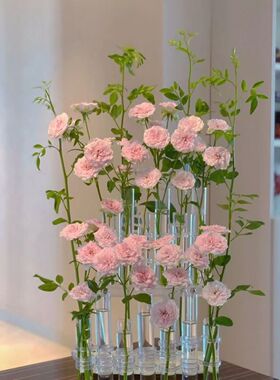 设计感小众可折叠高颜值一排试管花瓶玻璃ins风摆件装饰水培花器