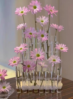 可折叠创意设计感小众试管玻璃花瓶水养鲜花水培花器皿客厅摆件