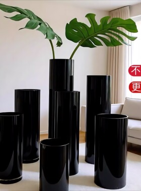 黑色亚克力花瓶轻奢高级感花器客厅水养鲜插花富贵竹醒花桶落地摆