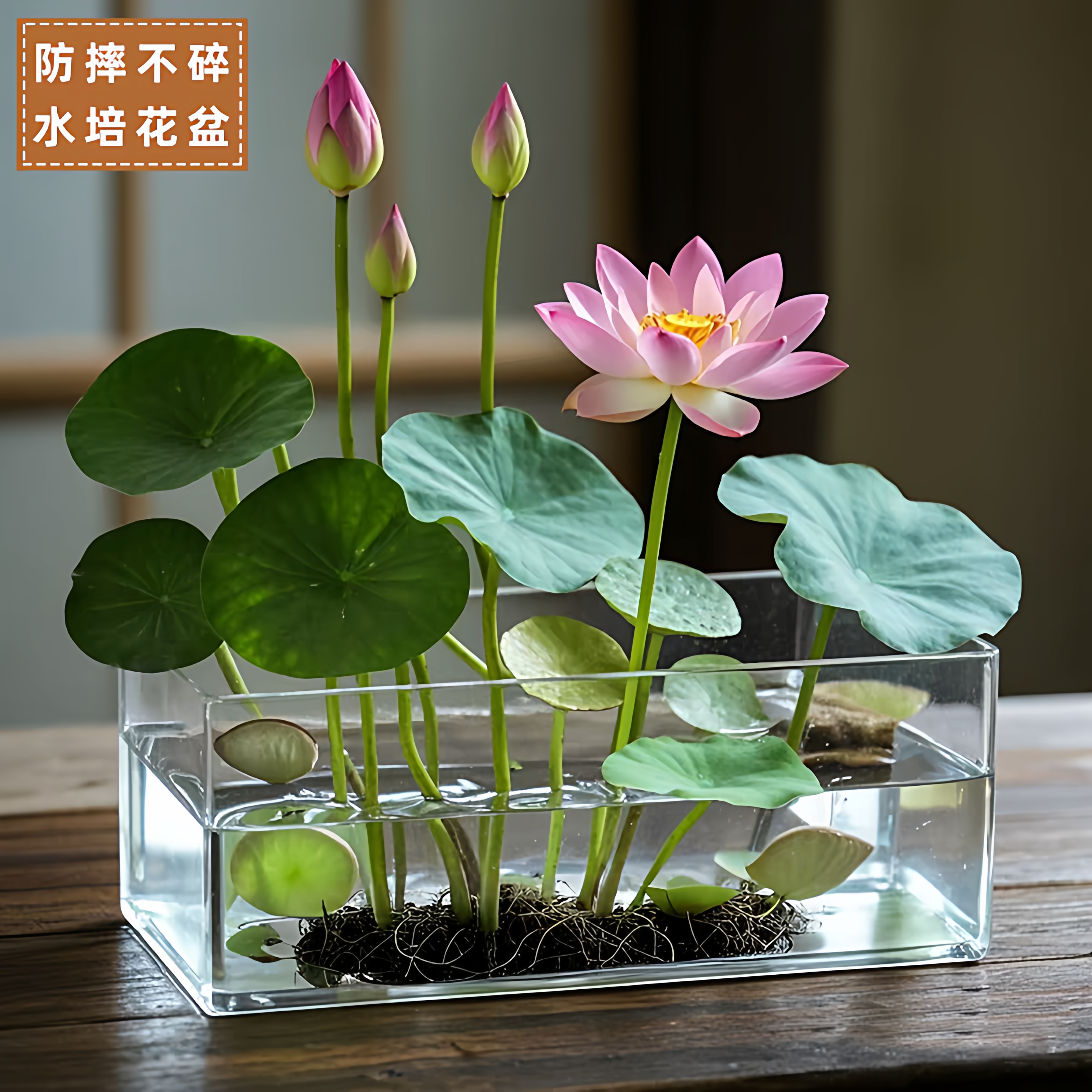 大口径亚克力长方形大号无孔水培花器碗莲睡莲水仙专用花瓶器皿