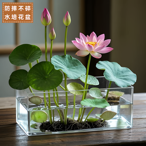 大口径亚克力长方形大号无孔水培花器碗莲睡莲水仙专用花瓶器皿