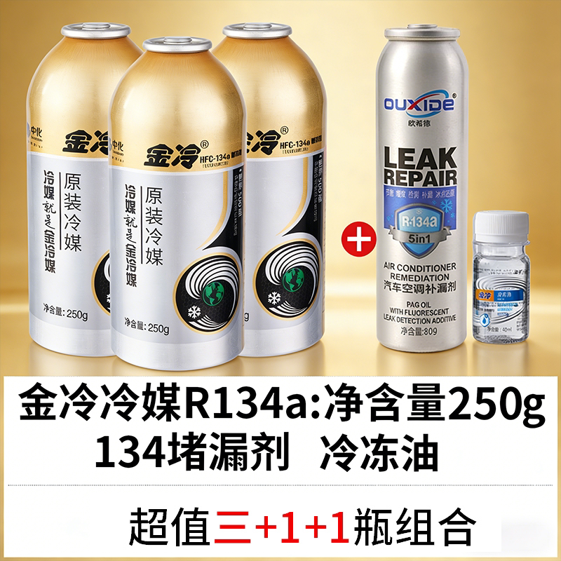 汽车空调加氟R134a加氟套装图片