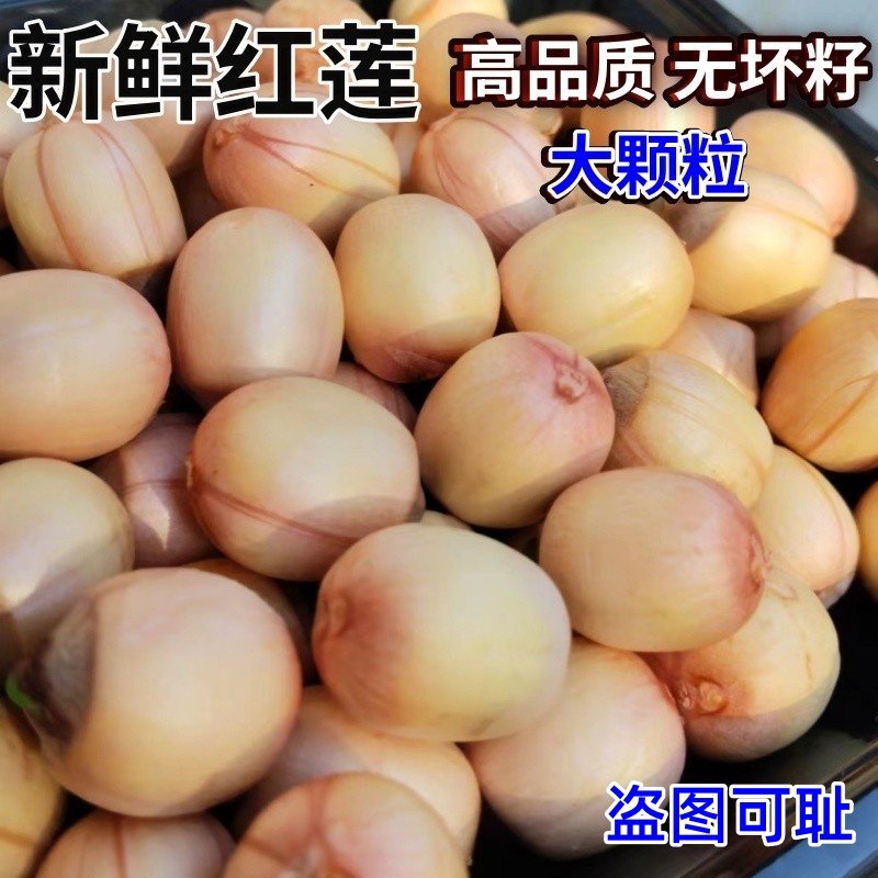 正宗江西广大颗粒新鲜成熟红莲子
