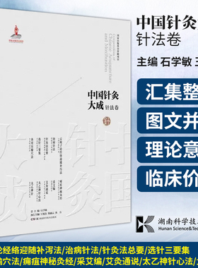 中国针灸大成针法卷云岐子论经络迎随补泻法医学统综治病针法针灸法总要选针三要集灸膏肓腧穴法 湖南科学技术出版社9787571019280