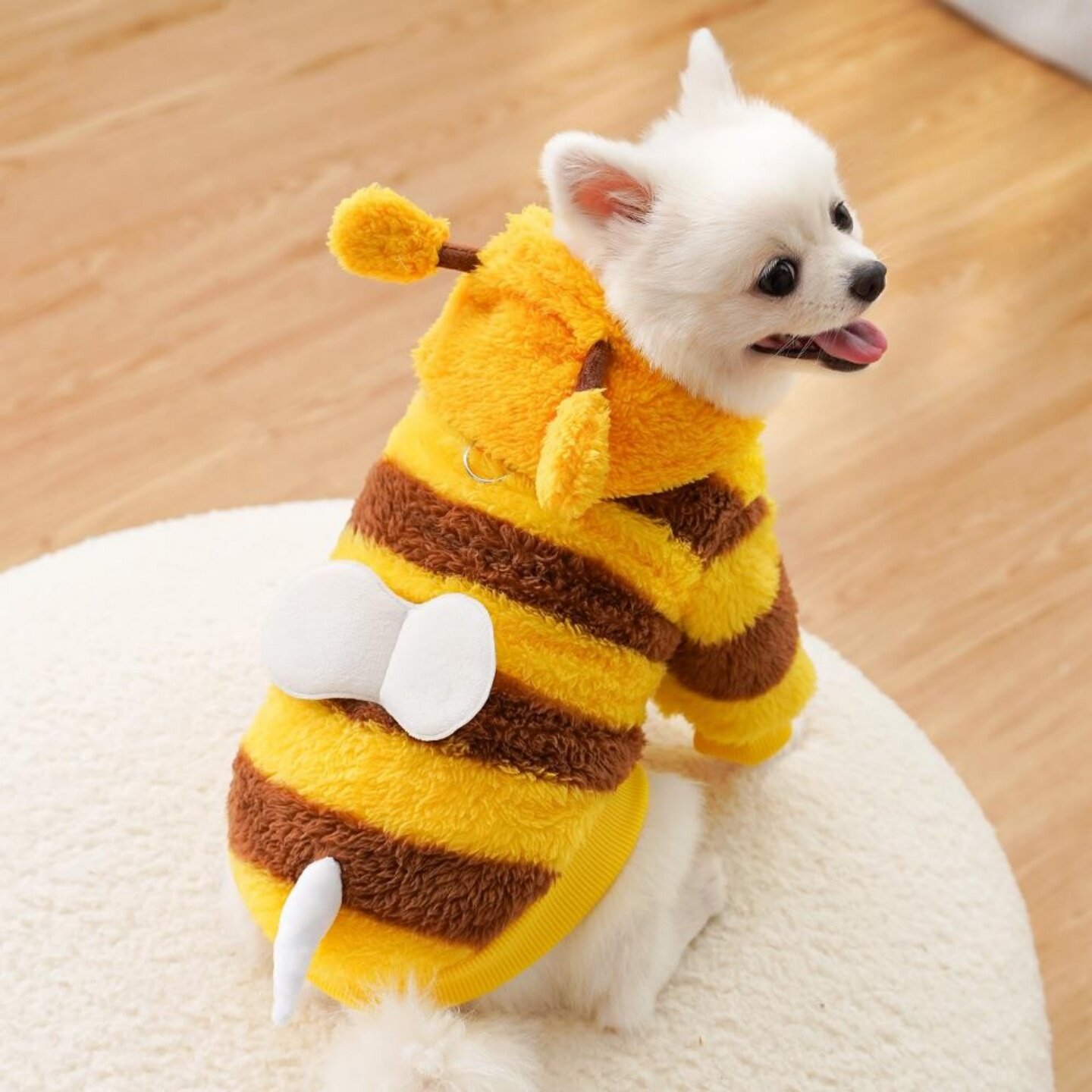 秋冬猫狗保暖搞怪小蜜蜂冬装