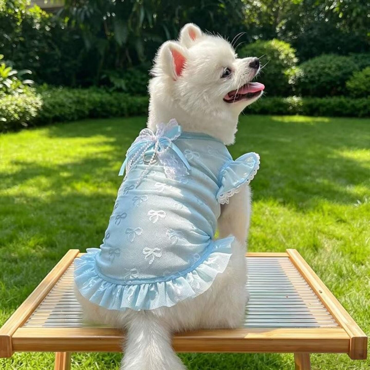 夏季网纱猫狗可牵引蝴蝶结连衣裙